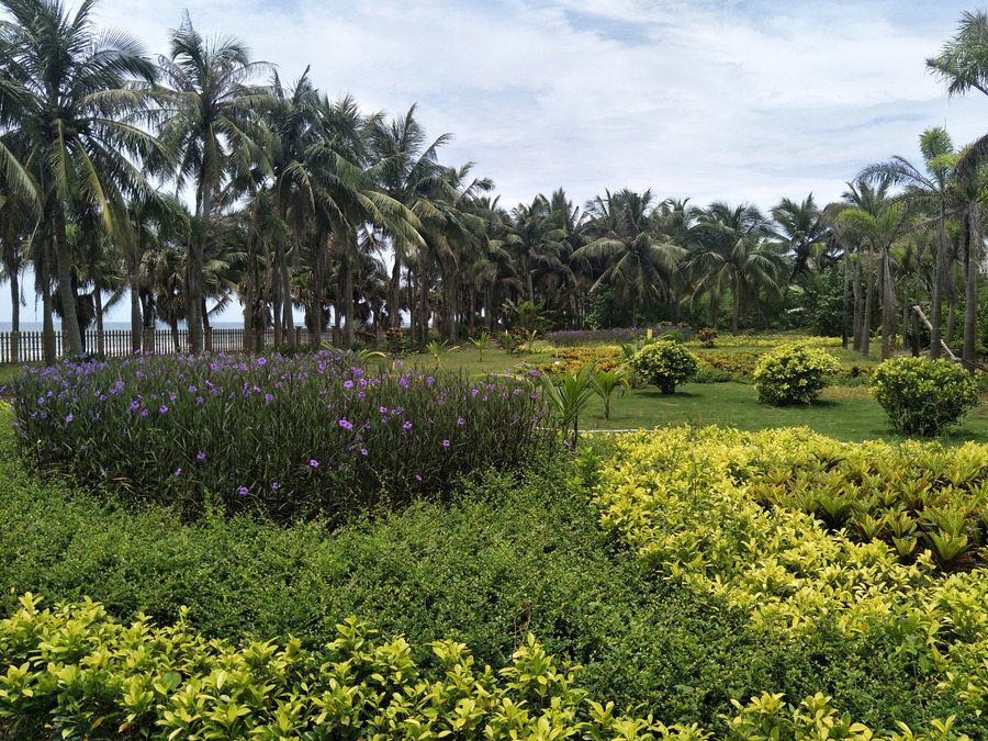 海南园林庭院绿化,别墅花园,园林绿化,设计施工请找悦民园林