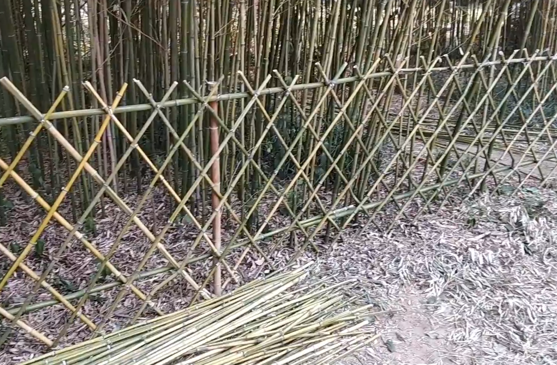 竹子做围栏教程图片